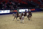 Quadrille - 00164